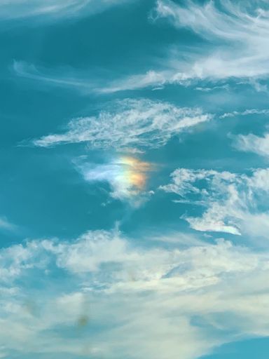 A unique and captivating rainbow appears in the blue sky above a line of trees, providing a stunning view