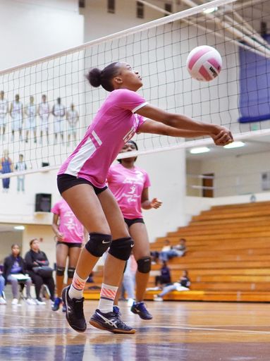 Women's Indiana high school volleyball northwest