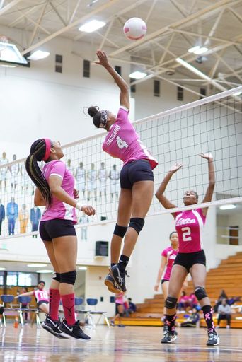 Women's Indiana high school volleyball northwest