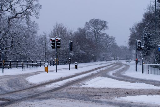 A wide angle shot of some streets surrounded by trees covered in snow during winter