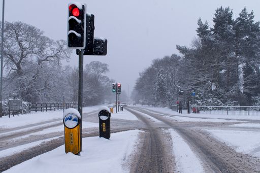 A wide angle shot of a street surrounded by trees covered in snow during winter