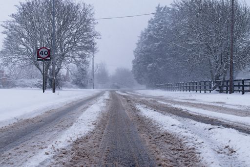 A wide angle shot of a street surrounded by trees covered in snow during winter