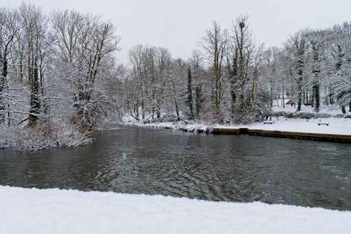 A wide angle shot of water surrounded by trees covered in snow during winter