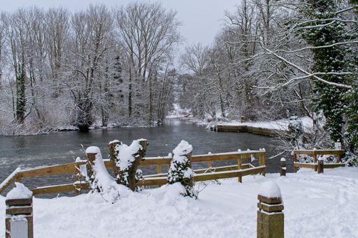 A wide angle shot of water surrounded by trees covered in snow during winter