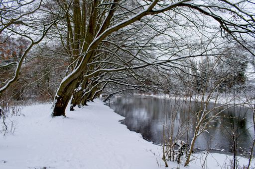 A wide angle shot of trees in front of the water covered in snow during winter