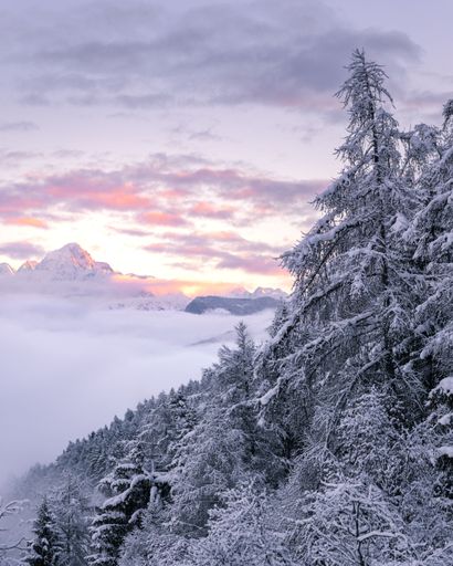 Winter landscape view with snow-covered trees and mountain peaks emerging from the cloud inversion at sunrise