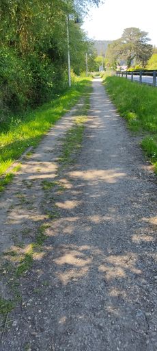 The road in the rural area on sunny day