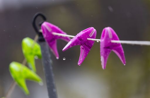 A selective focus shot of colored clothespins on a rope wet from a rain