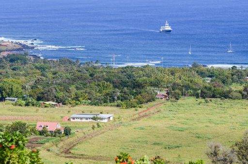 View of a farm with a planted field on the outskirts of Hanga Roa, Easter Island, Chile. A ship anchored off the coast can be seen in the background.