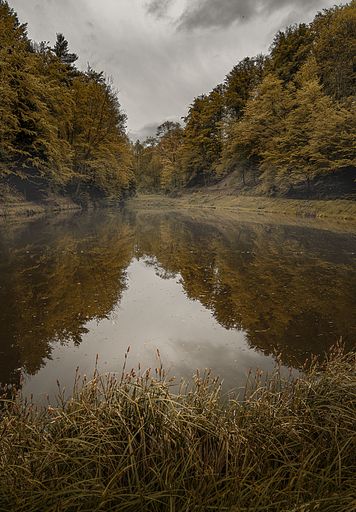 A vertical shot of a foggy lake and its reflectio surrounded by forests