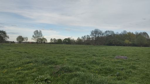A landscape of a field covered in greenery under a cloudy sky in the daylight