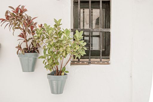 A closeup shot of a white house facade with a small window decorated with flower pots
