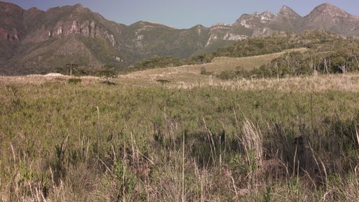 Small farmhouses nestled among the hills appear tiny and isolated, reminiscent of the simplicity and serenity of mountain life.