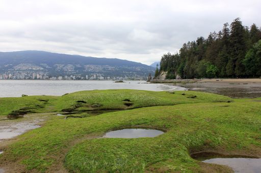 A scenic outdoor landscape featuring lush green grass, small puddles of water, and majestic mountain peaks in the background