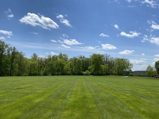 A beautiful view of a green landscape surrounded by trees and greenery