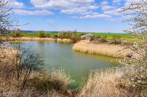 A beautiful view of the green lake surrounded by grass and trees under a cloudy sky