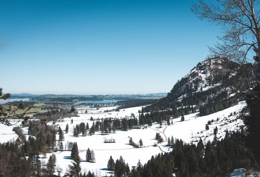 An aerial shot of Schwangau village under blue sky
