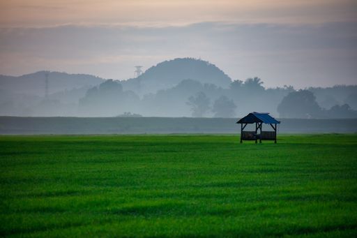A traditional wooden hut situated in a rural landscape with a majestic mountain in the background