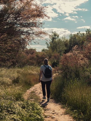 A vertical shot of a hiker with a backpack walking in the forest