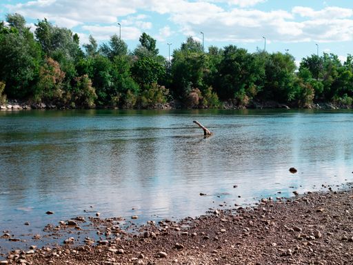 A lake and trees with pebbles on the shore in the park