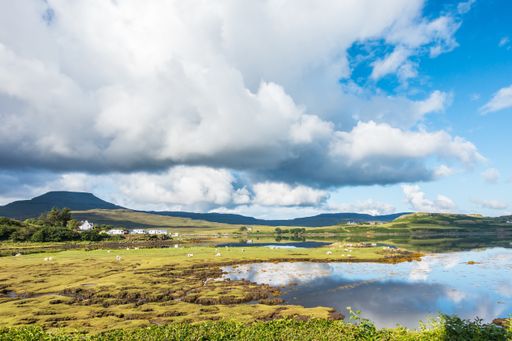 The Idyllic Scottish landscape with a loch, sheep and green hills in a sunny day, Isle of Skye, Dunvegan, Scotland