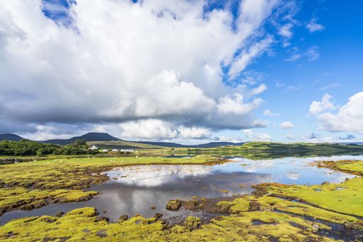 The Idyllic Scottish landscape with a loch, sheep and green hills in a sunny day, Isle of Skye, Dunvegan, Scotland
