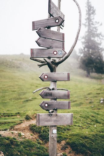 A vertical shot of a wooden signpost in a valley