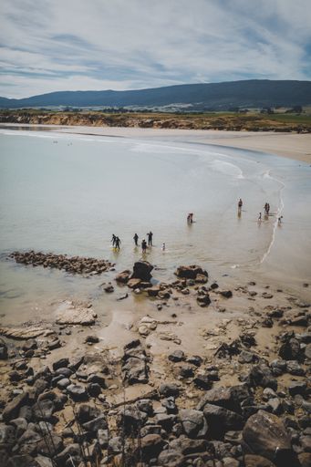 A vertical shot of the people at the rocky beach of Monkey Island enjoying the summer day