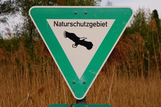 Retreat areas for animals and plants are also being created in the urban area of Frankfurt.
