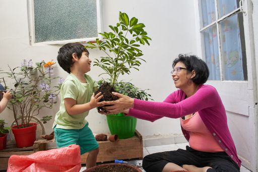 A mother and a son changing places of a potted plant - Gardening session, Ecological education