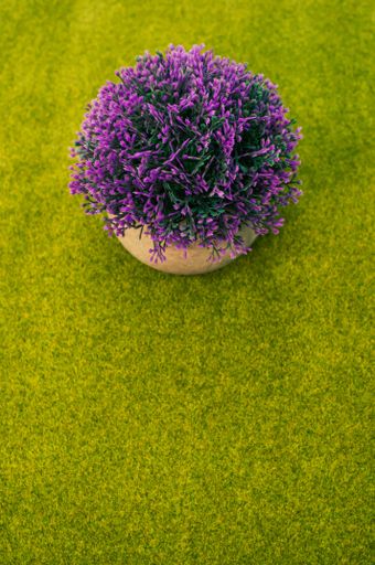 A closeup shot of a purple blooming plant in the pot in the green grass background