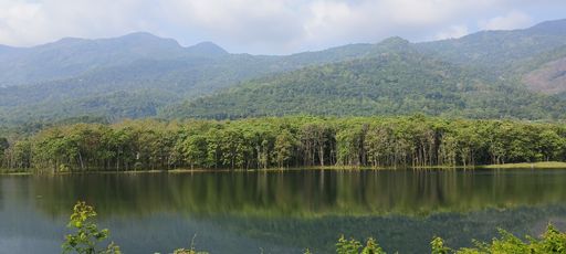 A breathtaking view of a lake surrounded by lush green trees and majestic mountain peaks in the background
