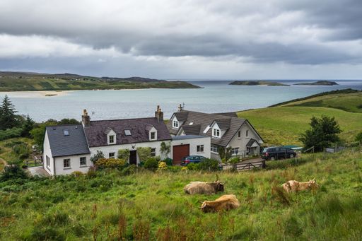 A scenic view of the Kyle of Tongue and a village with highland cows in the foreground in Scotland