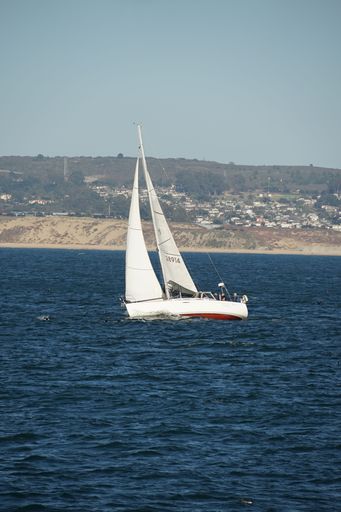 An image of a white sailboat gliding across a tranquil body of water