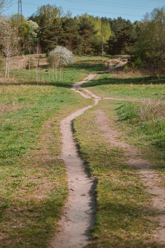 A beautiful shot of a roadway that goes through a forest u to a hill