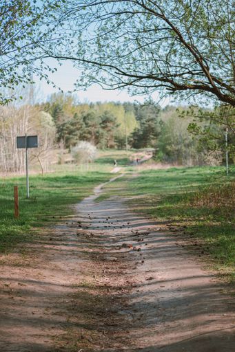 A beautiful shot of a roadway that goes through a forest u to a hill