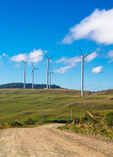 A landscape with wind turbines for power generation.