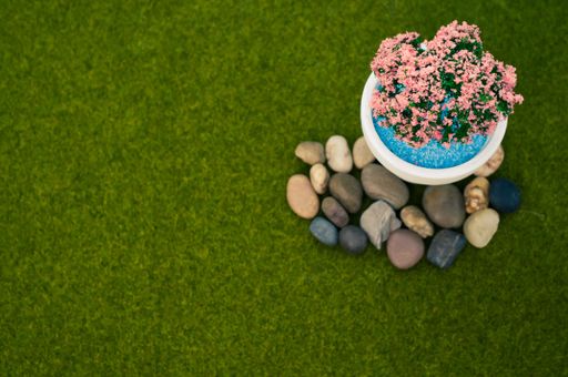 A top view of a flower pot with an ornamental blossom tree surrounded by stones on the grass