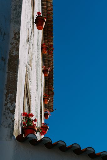A vertical shot of a building decorated with flowerpots under a blue sky in Obidos, Portugal