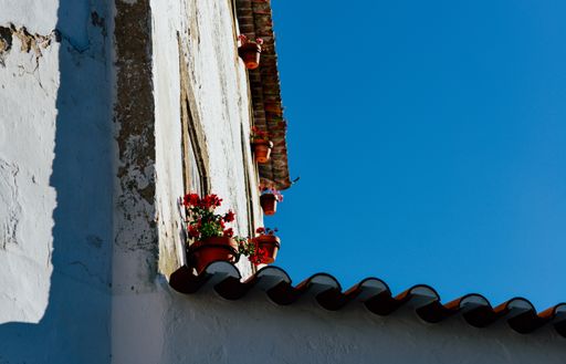 A beautiful building with flowerpots near the windows under a blue sky in Obidos, Portugal