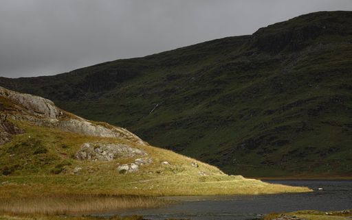 A majestic mountain surrounded by lush green trees and foliage: Eryri National Park