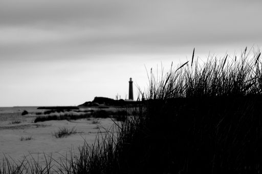 A black and white shot of sandy coast with plants on the lighthouse background