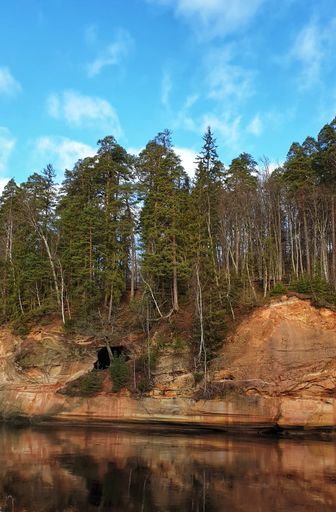 A vertical shot of forest trees reflected on the river with a clear blue sky in the background