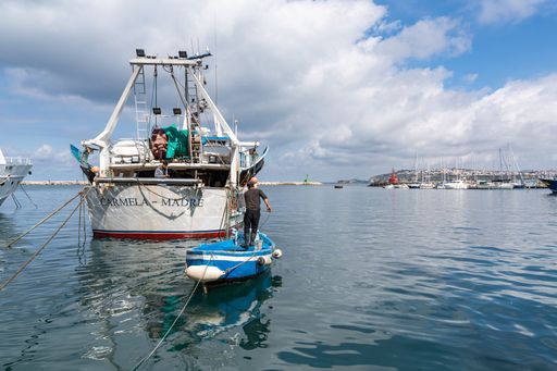 The fishing boats at Procida Marina Grande port, Campania region, Italy