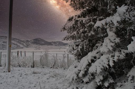 A superb shot of pink Milky Way glowing in the sky seen through snow-covered pine tree