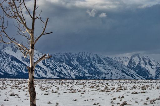A snowy field on background of mountain rocks covered by dense clouds in Grand Teton National Park