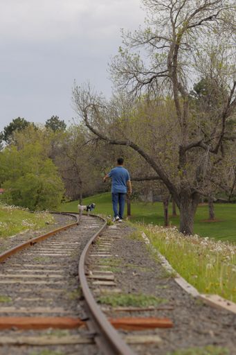 A vertical shot of a dog and its owner walking on the railroad surrounded by trees