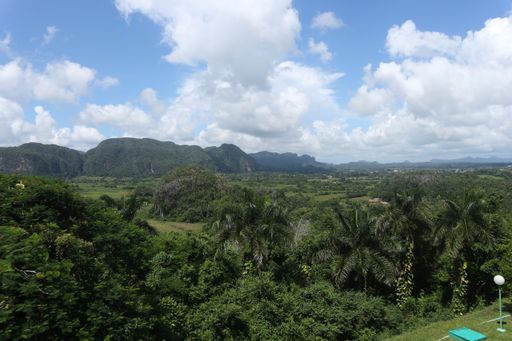 An aerial shot of a beautiful forest with hills on the background under a blue sky