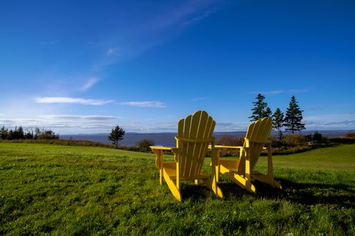 Two yellow Adirondack chairs are positioned in a lush green grassy landscape.
