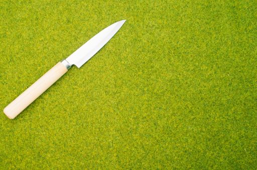 A top view shot of a kitchen knife with a wooden end on a green grass surface
